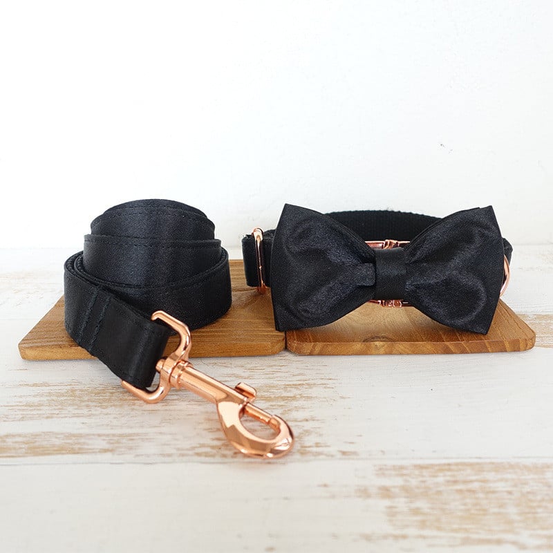 Dog Collar with Metal Buckle